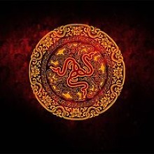 Guilherme Amorelli Moreira