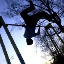 Алексей Левин