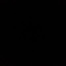 Сергей Визер