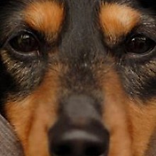 Акбар Сагиндыков