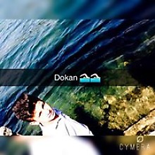 Ayman Alshakarchy