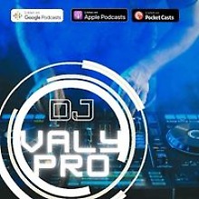 Valy Pro