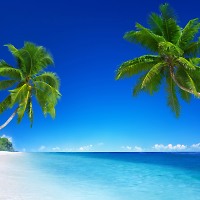 Павел Фролов