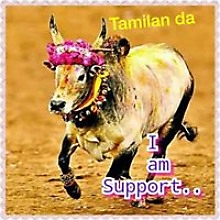 Prathib Penil Vib