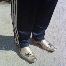 H1