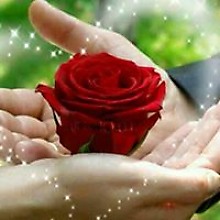 Haider Ghulam Memon