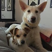 Аполлинария Княжевич