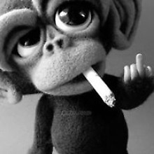 Славентий Стеценко