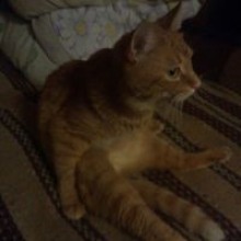 Илья Андриянов