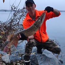 Антон Ровнягин