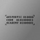 Aesthetic Code Academy