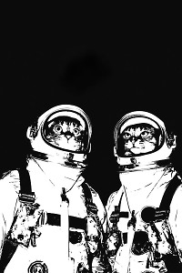 Кот космонавт