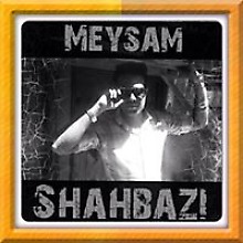Meysam Shahbazi