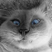 Сергей Иванов