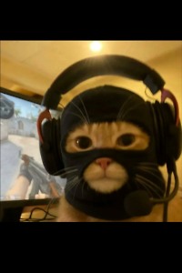 Дмитрий Котылев