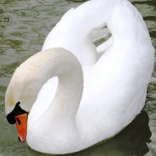 QWAQER
