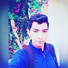 Fares Safi