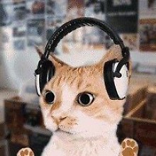 Marek Jerzy Grześkowiak