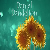 Daniel Dandelion